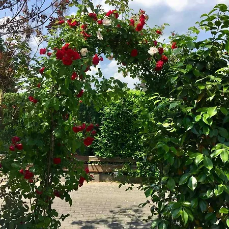 דירה Windmuehlenweg Mit Garten Spenge